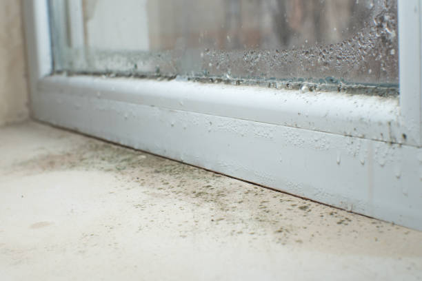 Best Residential Mold Inspection & Testing  in Hawkins, TX